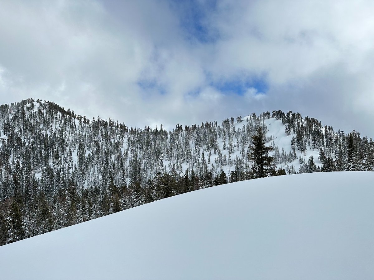 Avalanche Evergreen Analysis: Institutional L1 Strategy