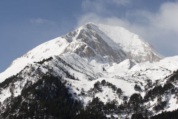 Avalanche Evergreen Analysis