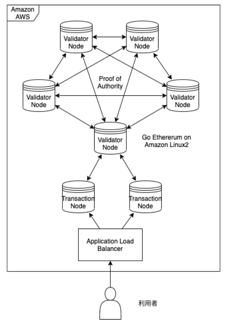 Blockchain Infrastructure for Enterprises